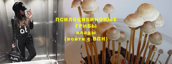 шишки Белоозёрский