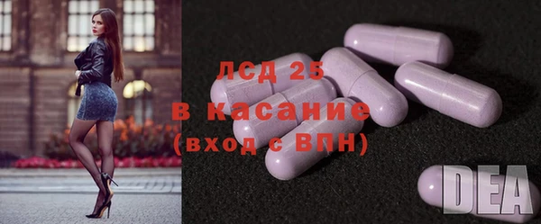 шишки Белоозёрский