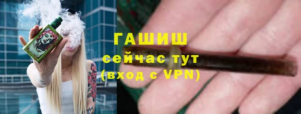 шишки Белоозёрский