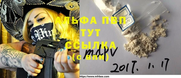 шишки Белоозёрский