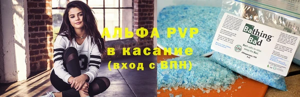 шишки Белоозёрский