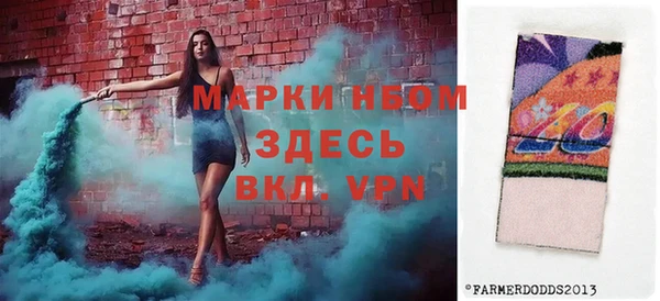 шишки Белоозёрский