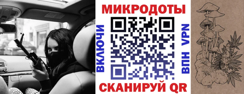 наркота  Верхотурье  Псилоцибиновые грибы Psilocybine cubensis 